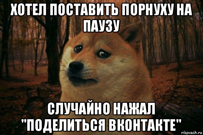 хотел поставить порнуху на паузу случайно нажал "поделиться вконтакте", Мем SAD DOGE