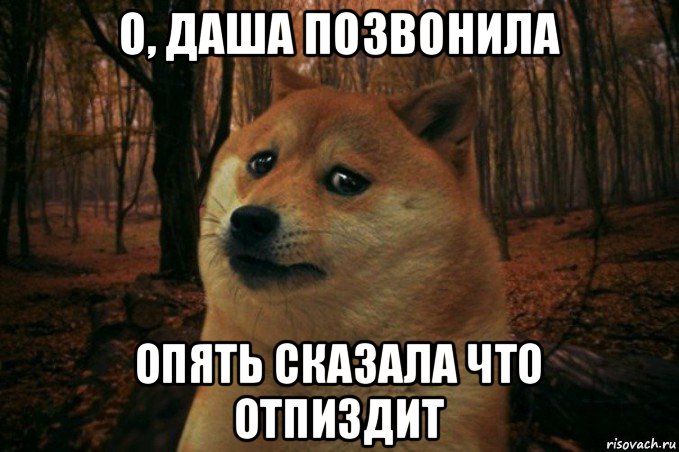 о, даша позвонила опять сказала что отпиздит, Мем SAD DOGE