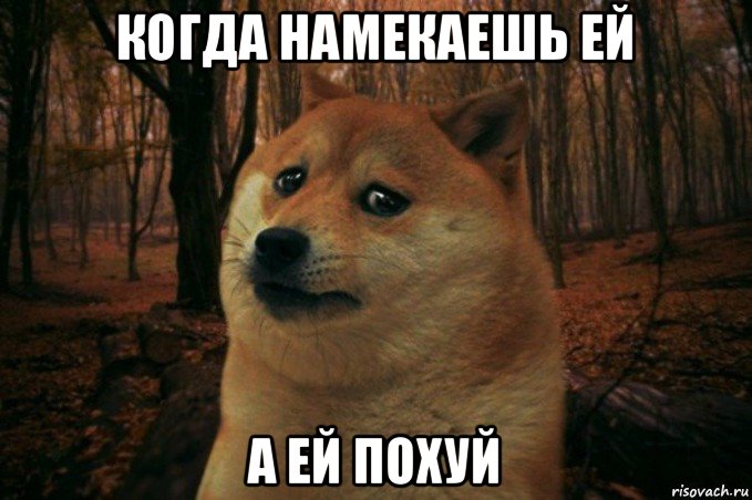 когда намекаешь ей а ей похуй, Мем SAD DOGE