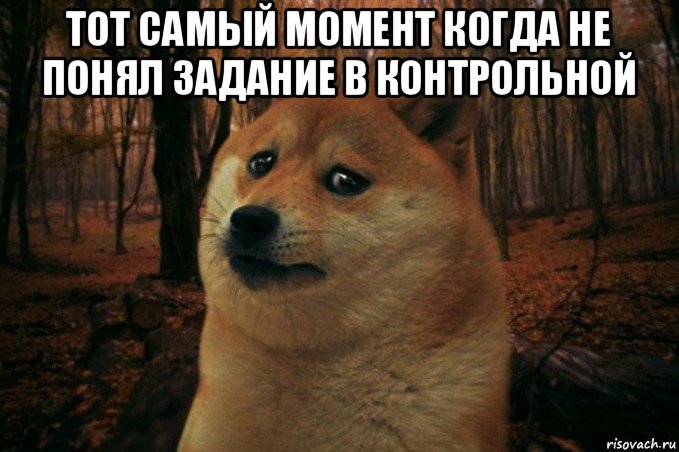 тот самый момент когда не понял задание в контрольной , Мем SAD DOGE