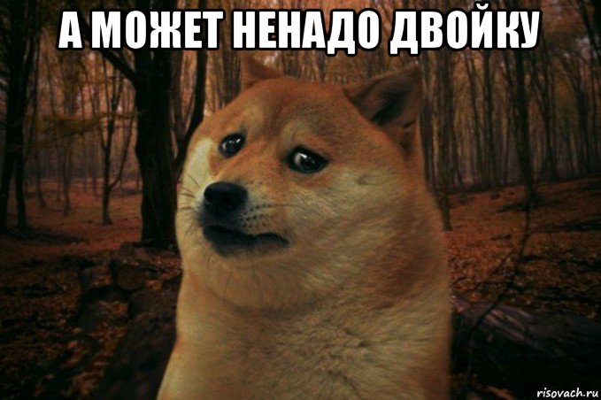 а может ненадо двойку , Мем SAD DOGE