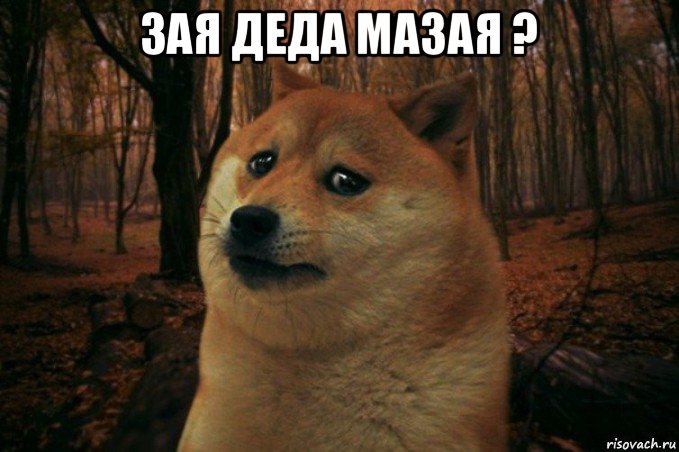 зая деда мазая ? , Мем SAD DOGE