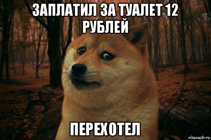 заплатил за туалет 12 рублей перехотел, Мем SAD DOGE