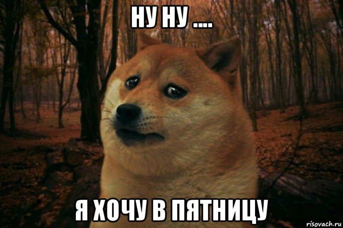 ну ну .... я хочу в пятницу, Мем SAD DOGE