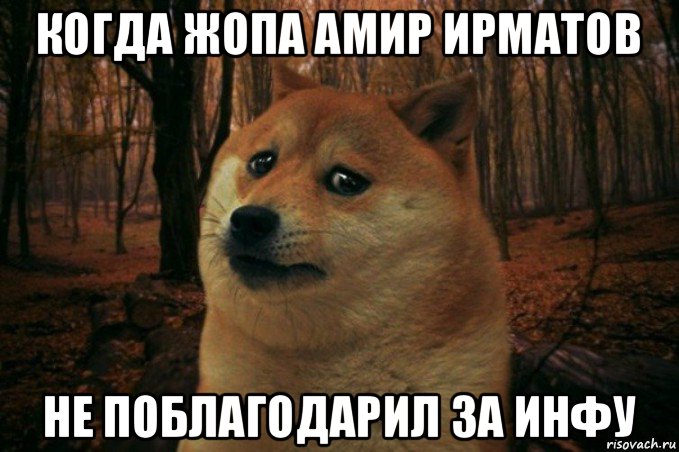 когда жопа амир ирматов не поблагодарил за инфу, Мем SAD DOGE