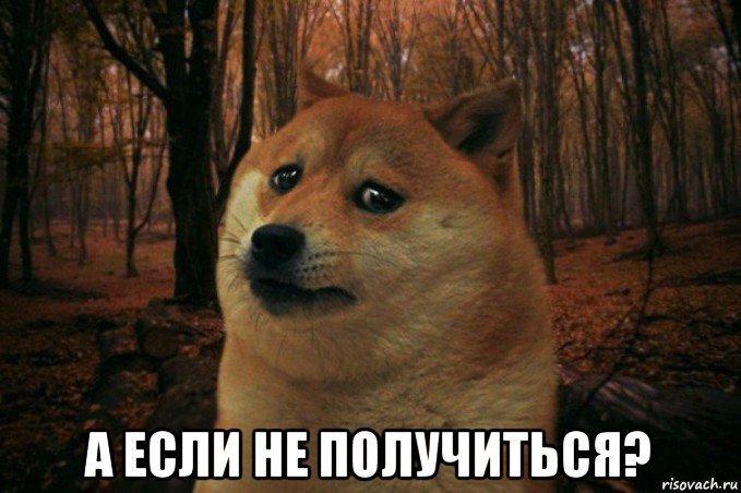  а если не получиться?, Мем SAD DOGE