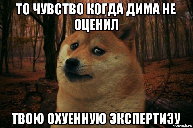 то чувство когда дима не оценил твою охуенную экспертизу, Мем SAD DOGE