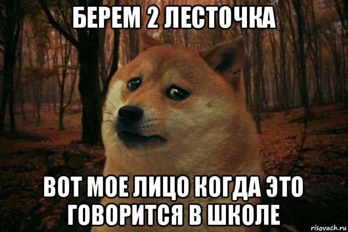 берем 2 лесточка вот мое лицо когда это говорится в школе, Мем SAD DOGE