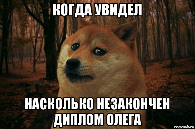 когда увидел насколько незакончен диплом олега, Мем SAD DOGE