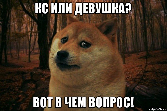 кс или девушка? вот в чем вопрос!, Мем SAD DOGE