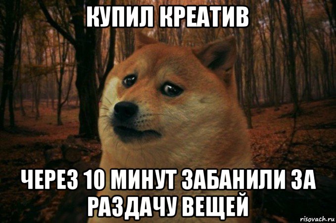 купил креатив через 10 минут забанили за раздачу вещей, Мем SAD DOGE