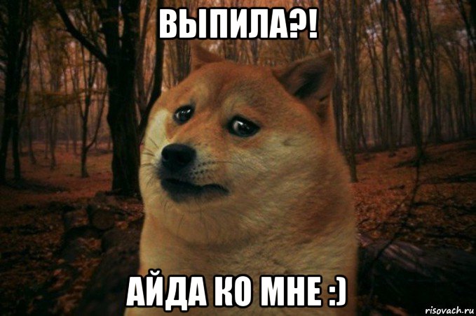 выпила?! айда ко мне :), Мем SAD DOGE