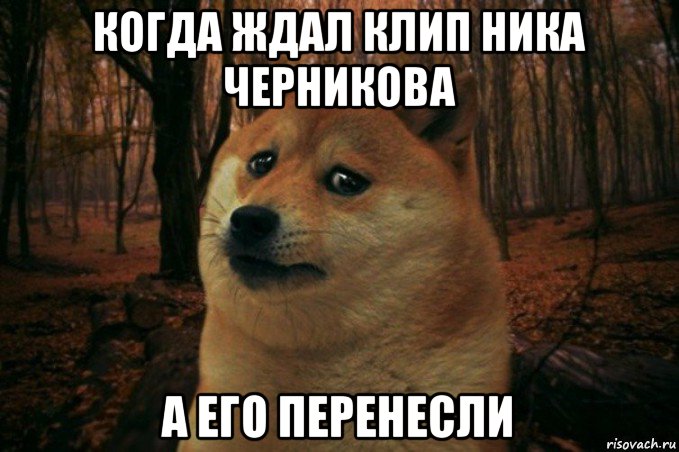 когда ждал клип ника черникова а его перенесли, Мем SAD DOGE