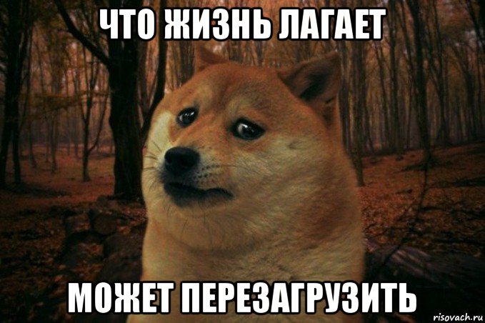 что жизнь лагает может перезагрузить, Мем SAD DOGE