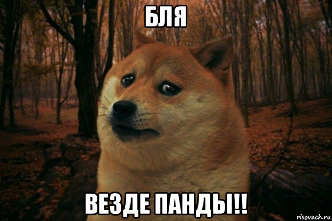 бля везде панды!!, Мем SAD DOGE