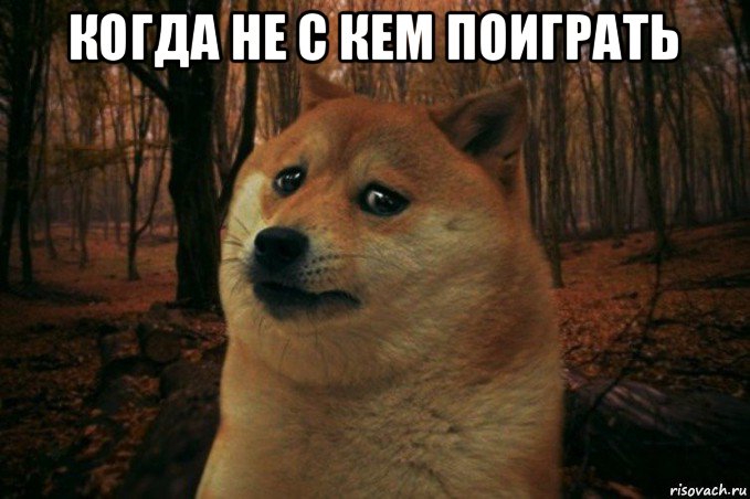 когда не с кем поиграть , Мем SAD DOGE