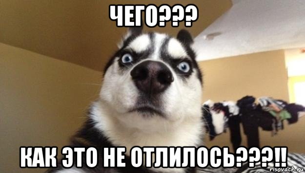 чего??? как это не отлилось???!!