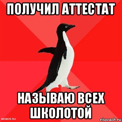 получил аттестат называю всех школотой, Мем  социально-агрессивный пингвин