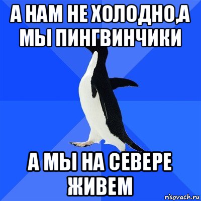 а нам не холодно,а мы пингвинчики а мы на севере живем, Мем  Социально-неуклюжий пингвин