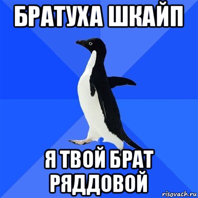 братуха шкайп я твой брат ряддовой, Мем  Социально-неуклюжий пингвин