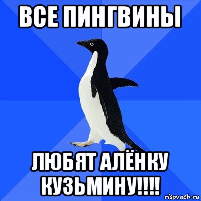 все пингвины любят алёнку кузьмину!!!!, Мем  Социально-неуклюжий пингвин