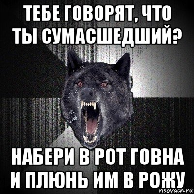 тебе говорят, что ты сумасшедший? набери в рот говна и плюнь им в рожу, Мем Сумасшедший волк