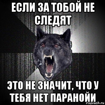 если за тобой не следят это не значит, что у тебя нет паранойи, Мем Сумасшедший волк