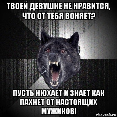 твоей девушке не нравится, что от тебя воняет? пусть нюхает и знает как пахнет от настоящих мужиков!, Мем Сумасшедший волк