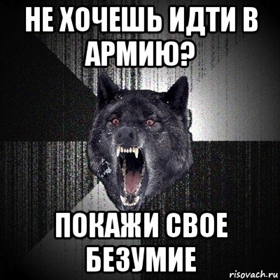 не хочешь идти в армию? покажи свое безумие, Мем Сумасшедший волк