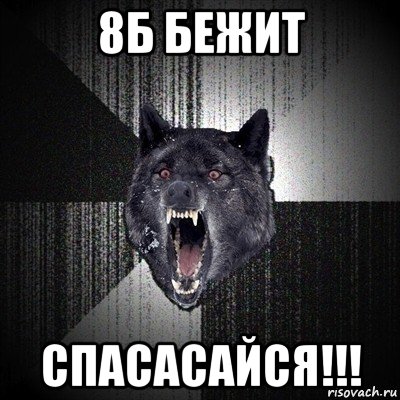 8б бежит спасасайся!!!, Мем Сумасшедший волк