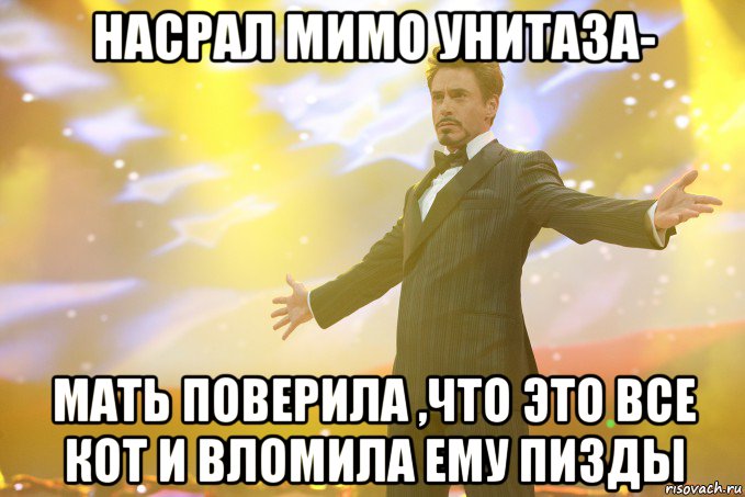 насрал мимо унитаза- мать поверила ,что это все кот и вломила ему пизды, Мем Тони Старк (Роберт Дауни младший)