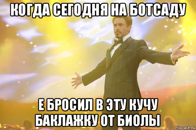 когда сегодня на ботсаду е бросил в эту кучу баклажку от биолы, Мем Тони Старк (Роберт Дауни младший)