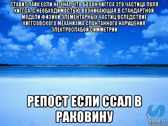 ставит лайк если не знал что бозон хиггса это частица поля хиггса, с необходимостью возникающая в стандартной модели физики элементарных частиц вследствие хиггсовского механизма спонтанного нарушения электрослабой симметрии репост если ссал в раковину, Мем у каждой Ксюши должен быть свой 