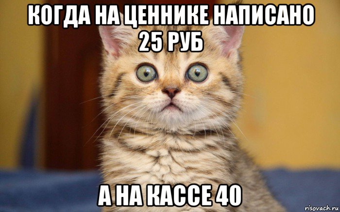 когда на ценнике написано 25 руб а на кассе 40, Мем  удивление