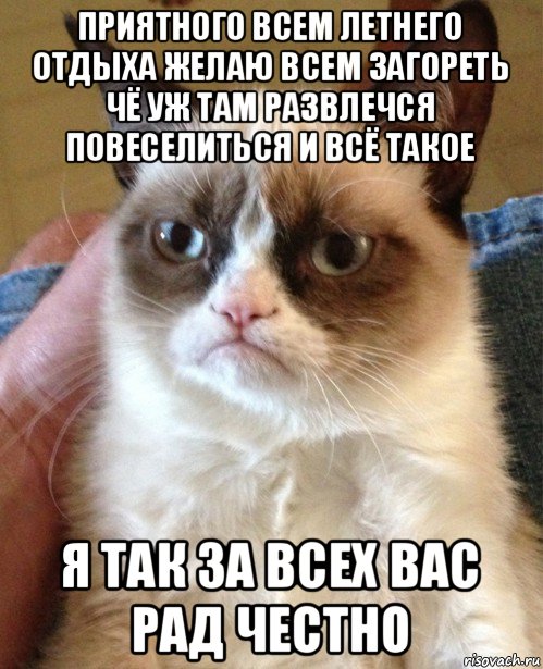 приятного всем летнего отдыха желаю всем загореть чё уж там развлечся повеселиться и всё такое я так за всех вас рад честно, Мем Угрюмый кот