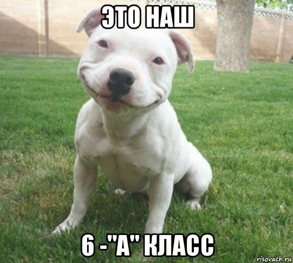 это наш 6 -"а" класс