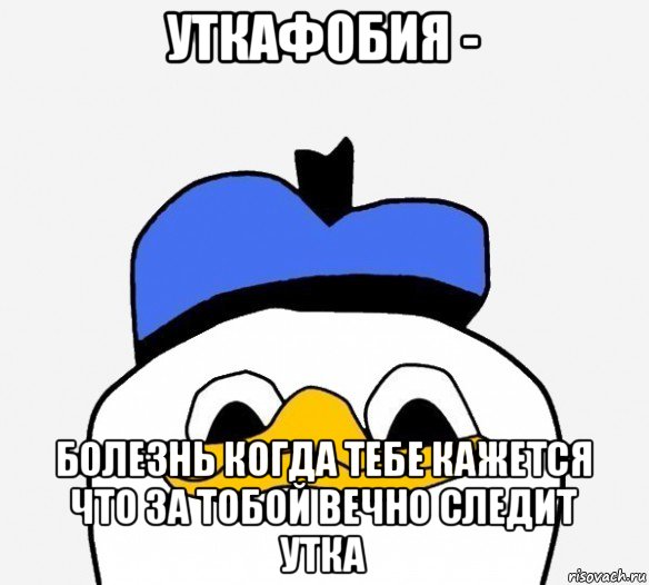 уткафобия - болезнь когда тебе кажется что за тобой вечно следит утка, Мем Утка