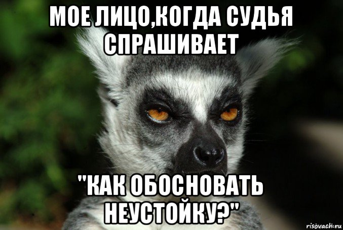 мое лицо,когда судья спрашивает "как обосновать неустойку?", Мем   Я збагоен