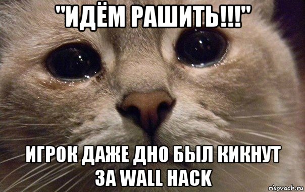 "идём рашить!!!" игрок даже дно был кикнут за wall hack, Мем   В мире грустит один котик