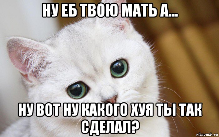 ну еб твою мать а... ну вот ну какого хуя ты так сделал?, Мем  В мире грустит один котик