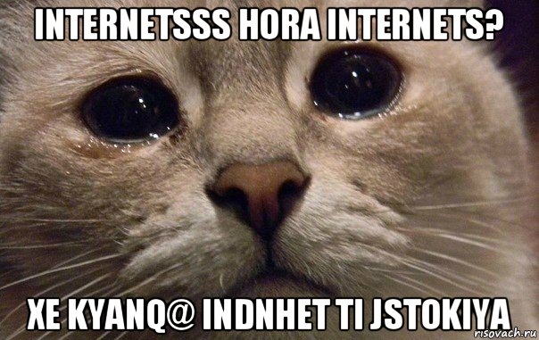 internetsss hora internets? xe kyanq@ indnhet ti jstokiya, Мем   В мире грустит один котик