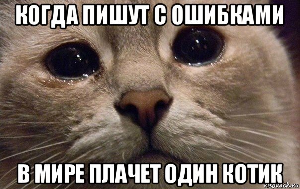когда пишут с ошибками в мире плачет один котик, Мем   В мире грустит один котик