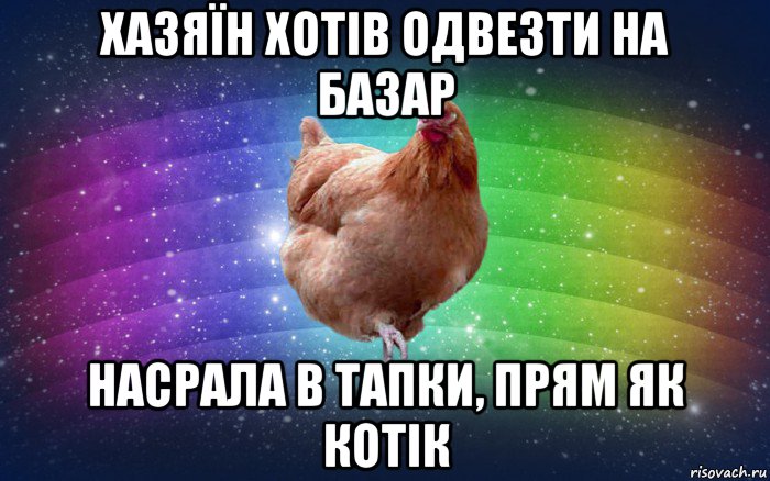 хазяїн хотів одвезти на базар насрала в тапки, прям як котік, Мем Весела Курка