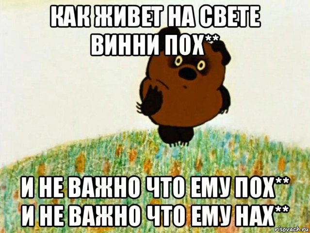 как живет на свете винни пох** и не важно что ему пох** и не важно что ему нах**, Мем ВИННИ ПУХ