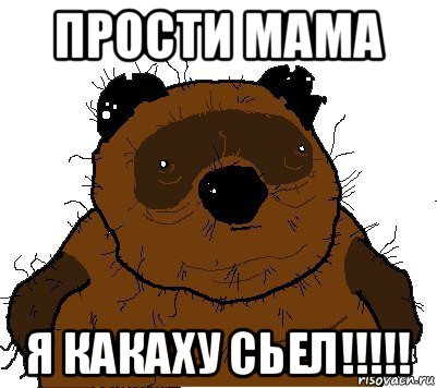 прости мама я какаху сьел!!!!!, Мем  Винни збс