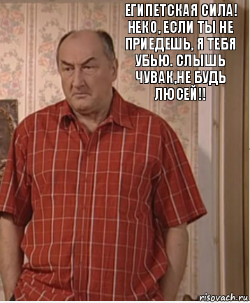 Египетская сила! Неко, если ты не приедешь, я тебя убью. Слышь чувак,не будь Люсей!!, Комикс Николай Петрович Воронин