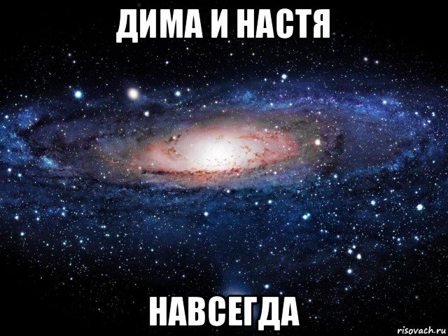 дима и настя навсегда, Мем Вселенная