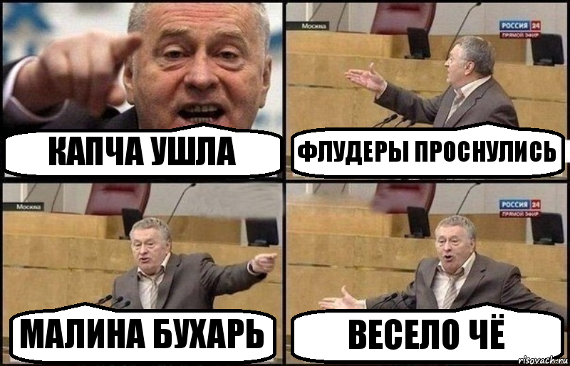 КАПЧА УШЛА ФЛУДЕРЫ ПРОСНУЛИСЬ МАЛИНА БУХАРЬ ВЕСЕЛО ЧЁ, Комикс Жириновский