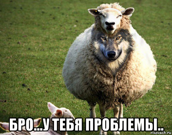  бро...у тебя проблемы.., Мем Злая Овца