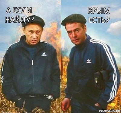 Крым есть? А если найду?, Комикс Вова и Дима